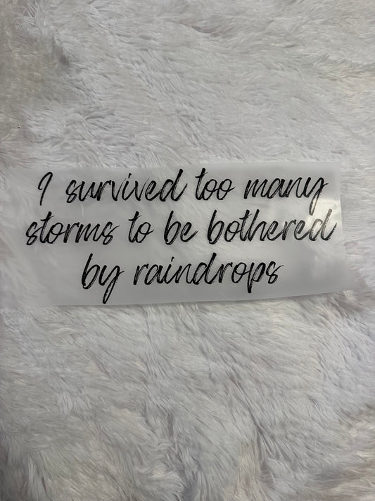 I survived too many storms  image ￼
