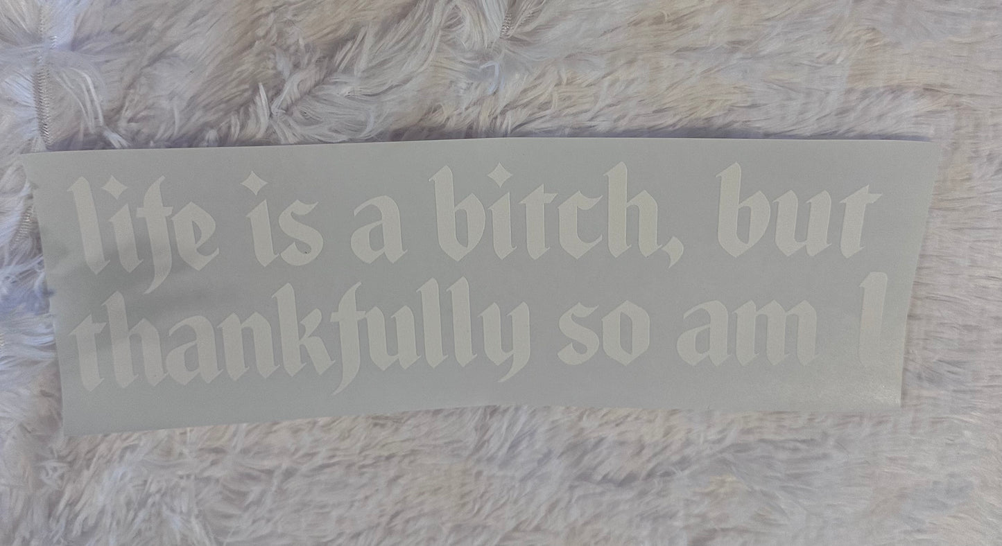 Thankfully I am that bitch